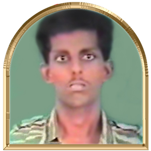 தணிகைவேலன் (மாவி)