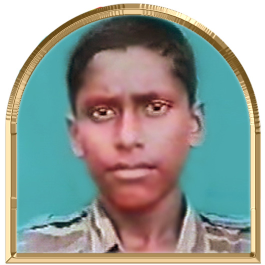 செஞ்சிறையன்