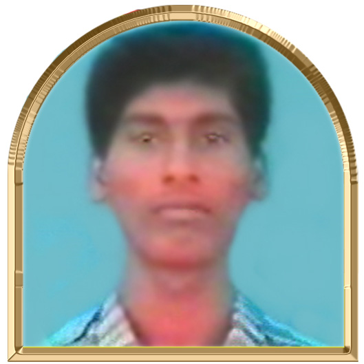 விடுதலை